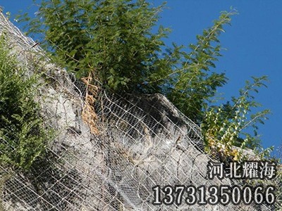 主動防護(hù)網(wǎng)